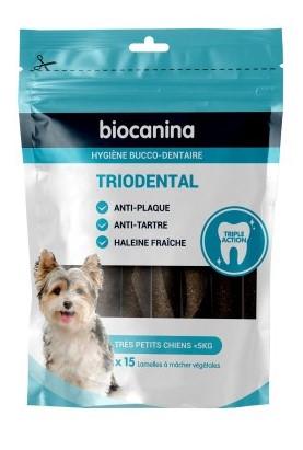 Triodental très petit chien