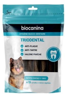 Triodental petit chien