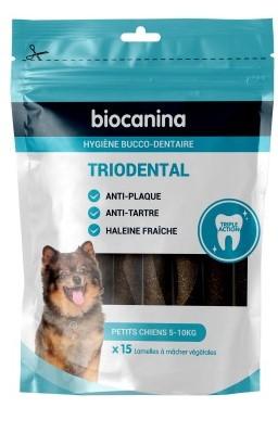 Triodental petit chien