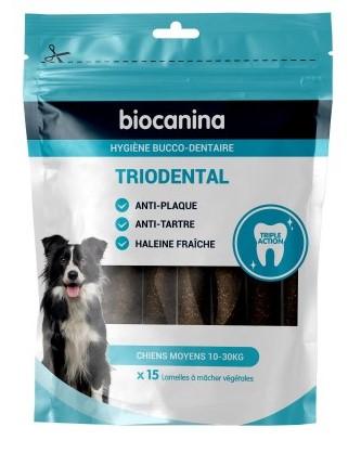 Triodental chien moyen